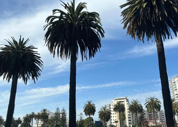 Departamento Vina Del Mar Home Studio